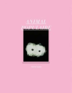 Animal Populaire - Vincent Bizien - Maia Muller